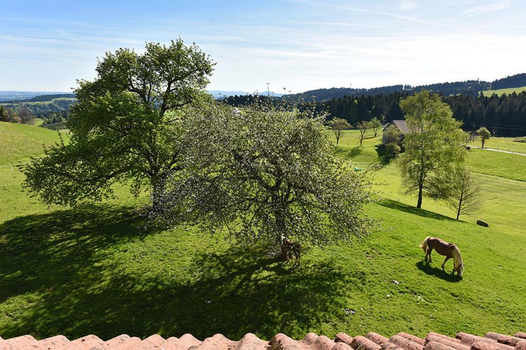 Bio-Bauernhof Heidegger Villa Moeggers Exterior photo